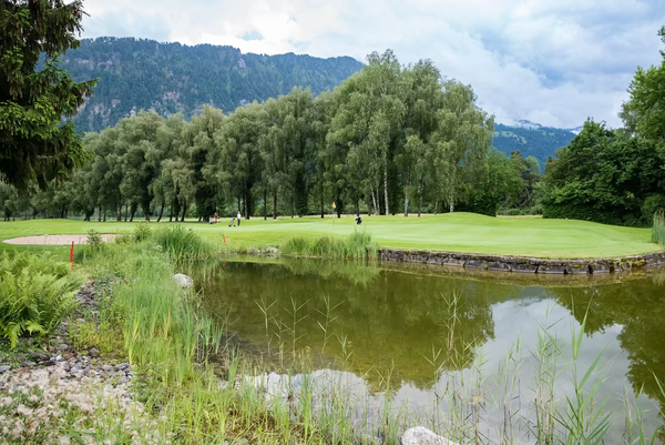 Womenbiz 220608 vonharscherfotografie 033